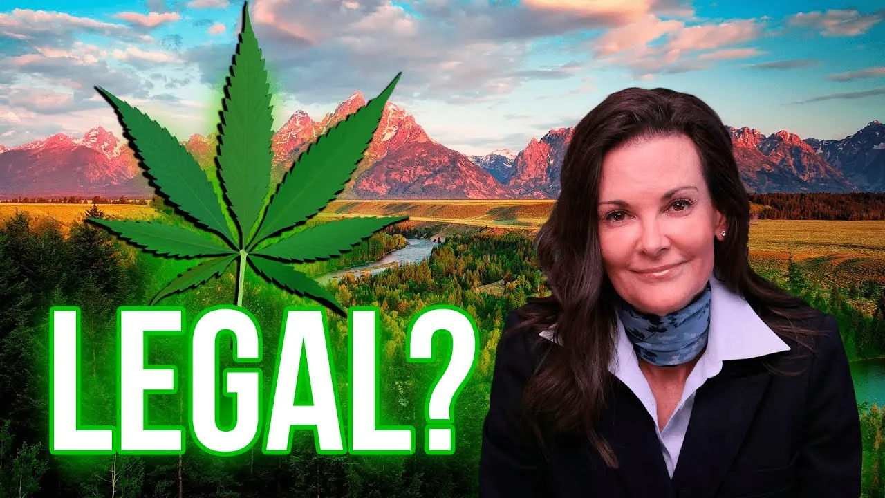 Woman in professional attire with large green cannabis leaf and text "LEGAL?" against mountainous landscape background.