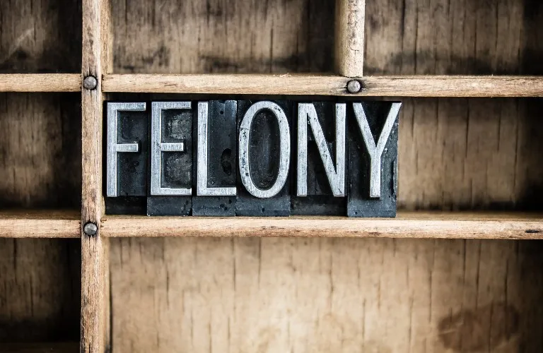 Black letterpress type blocks arranged to spell "FELONY" on a wooden grid shelf.