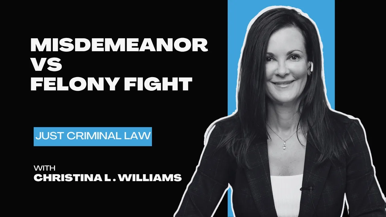 Professional portrait of a woman with dark hair, next to text on misdemeanor vs felony fight.